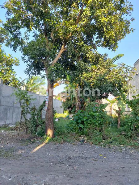 image TANAH DI LINGKUNGAN ASRI & NYAMAN TENGAH KOTA (7)