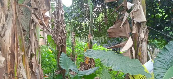 image KAVLING NON CLUSTER MURAH VIEW CANTIK DI JAGAKARSA JAKARTA SELATAN (1)