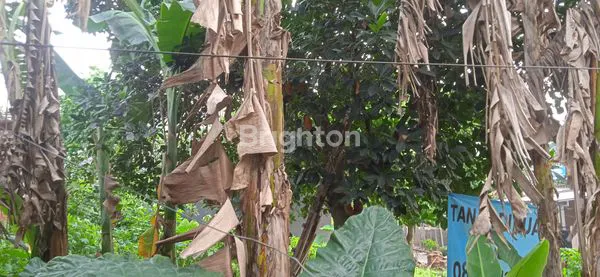 image KAVLING NON CLUSTER MURAH VIEW CANTIK DI JAGAKARSA JAKARTA SELATAN (3)