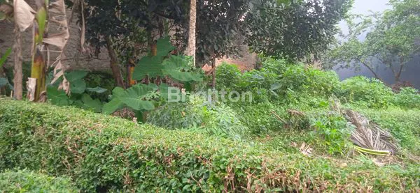 image KAVLING NON CLUSTER MURAH VIEW CANTIK DI JAGAKARSA JAKARTA SELATAN (6)