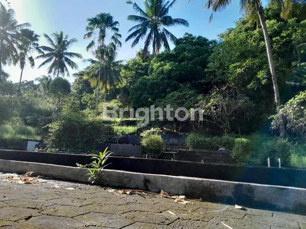 image RESORT DI MINAHASA (3)