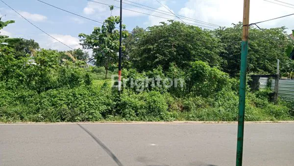 Gambar Property TANAH PINGGIR JALAN RAYA MULAWARMAN SELATAN, COCOK UNTUK USAHA, KOS DLL