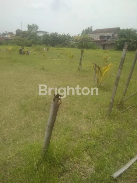 image TANAH MURAH SUMBER DEKAT PUSAT KOTA SOLO UNTUK PERUMAHAN ELIT (3)