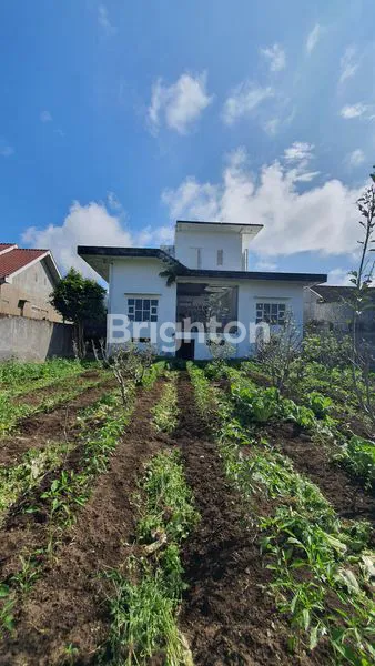 image VILA  PLUS KEBUN VIEW GUNUNG 360 DERAJAT DI KOTA BATU (8)
