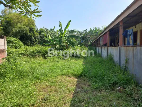 image TANAH PEKARANGAN DSN JAJAR, DS JASEM, KEC NGORO (1)