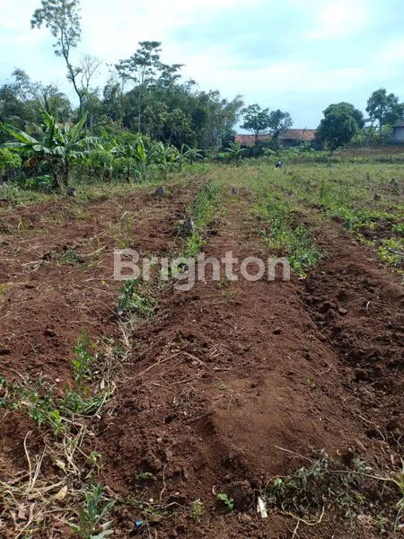 image TANAH LUAS MAINROAD DI MAJALAYA  (6)