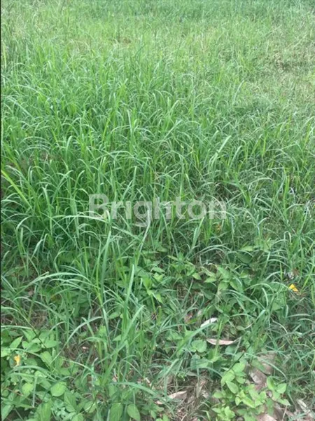 Gambar Property NEGO MURAH DEKAT JALAN RAYA BESAR KAVLING RAYA WISATA BUKIT MAS DEKAT CITRALAND UC GWALK SUKOMANUNGGAL CIPUTRA WORLD HR MUHAMMAD PINTU MASUK TOLL SURABAYA