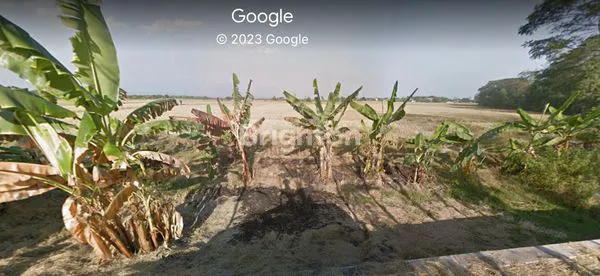 image TANAH ZONA MERAH!!! LANGKA HARGA MURAH!! SIAP BANGUN (2)