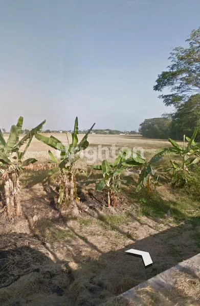 image TANAH ZONA MERAH!!! LANGKA HARGA MURAH!! SIAP BANGUN (3)