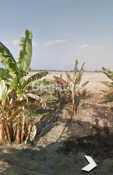 image TANAH ZONA MERAH!!! LANGKA HARGA MURAH!! SIAP BANGUN (4)