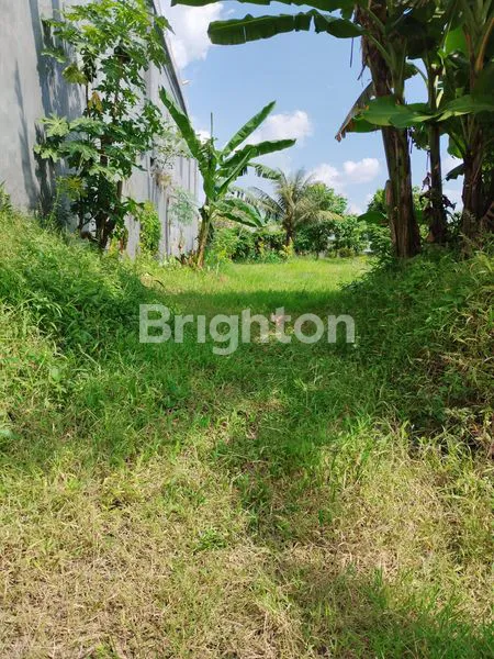 image LAHAN LUAS DEKAT LIPPO (1)