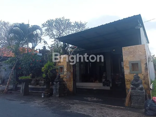 RUMAH CANTIK DI TEMESI GIANYAR