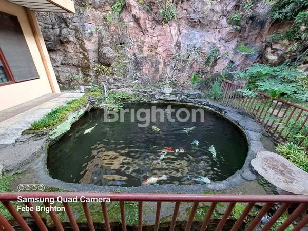 image RUMAH LUAS DI DIENG MALANG (17)