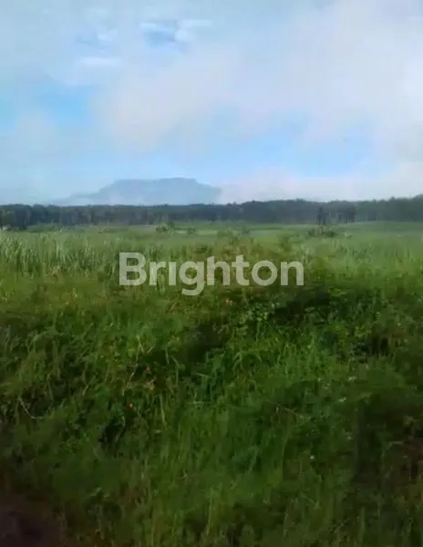 BCL VIEW ISTIMEWA GUNUNG ARJUNO !! TANAH TERMURAH MURAH DI SINGOSARI COCOK BUAT SEMUA USAHA