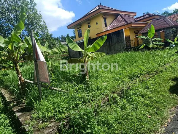 image HAMPARAN TANAH SUBUR DI PEGUNUNGAN (1)