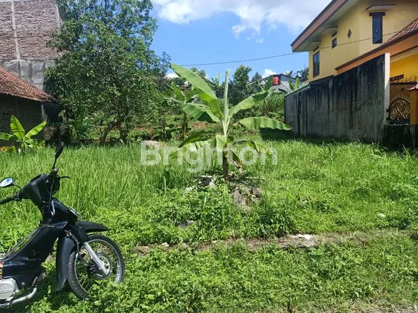 image HAMPARAN TANAH SUBUR DI PEGUNUNGAN (2)