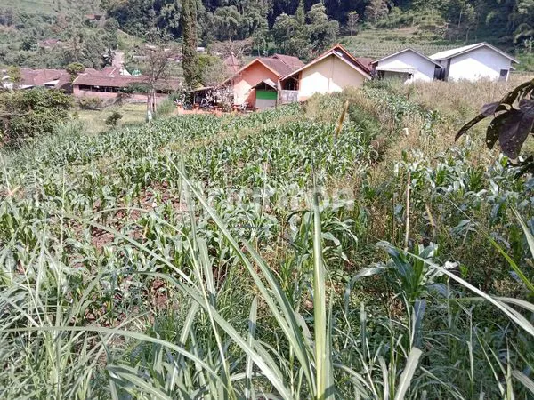 image TANAH STRATEGIS DI KOTA WISATA BATU (2)