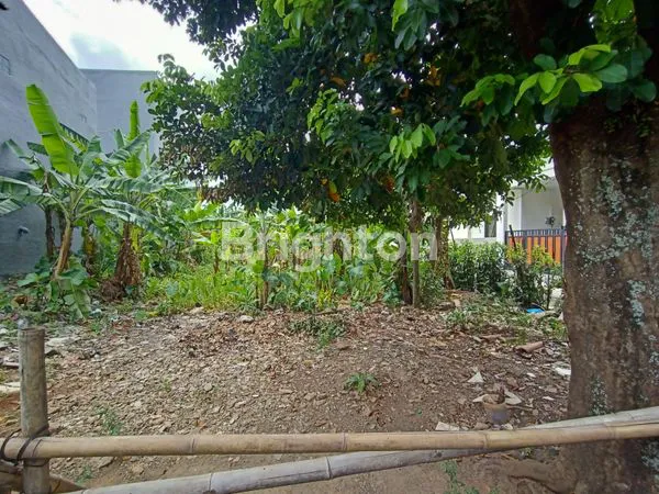 image TANAH STRATEGIS DI HOOK SANGAT NYAMAN UNTUK HUNIAN ATAU USAHA (3)