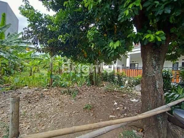 image TANAH STRATEGIS DI HOOK SANGAT NYAMAN UNTUK HUNIAN ATAU USAHA (4)