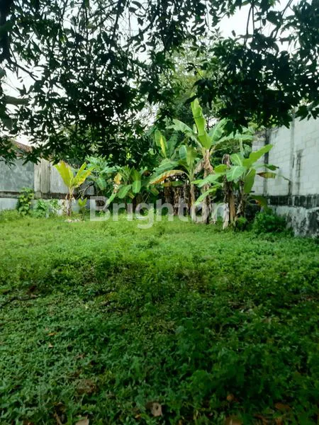 image TANAH GENTONG (2)