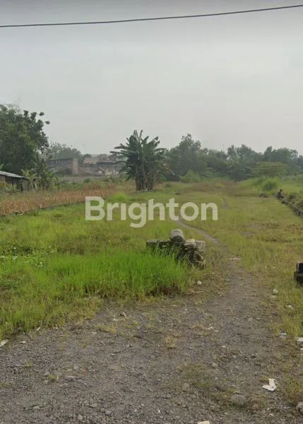 Gambar Property TANAH TENARU DRIYOREJO GRESIK