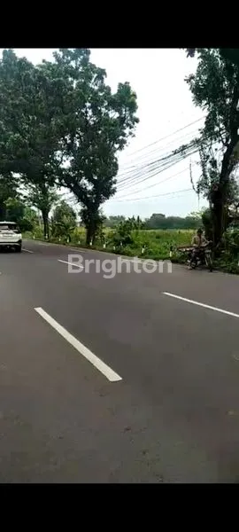 image TANAH ZONA MERAH NOL JALAN PROVINSI PASURUAN (2)