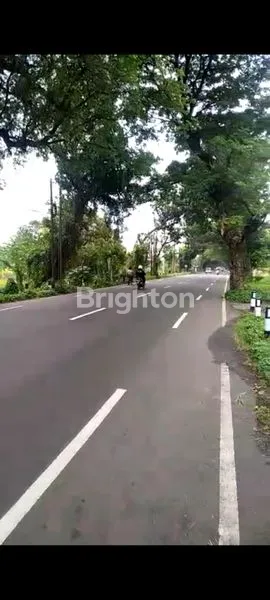image TANAH ZONA MERAH NOL JALAN PROVINSI PASURUAN (3)