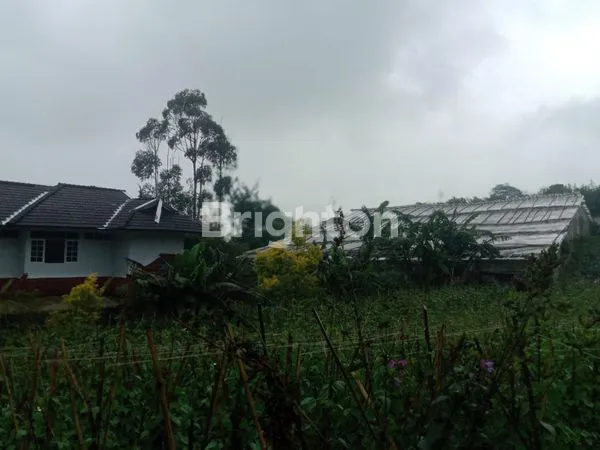 image TANAH EX KEBUN MAWAR COCOK UNTUK VILLA DI LEMBANG BANDUNG (1)
