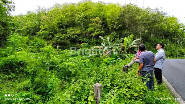 TANAH WONOGIRI PRACI 8 HEKTAR