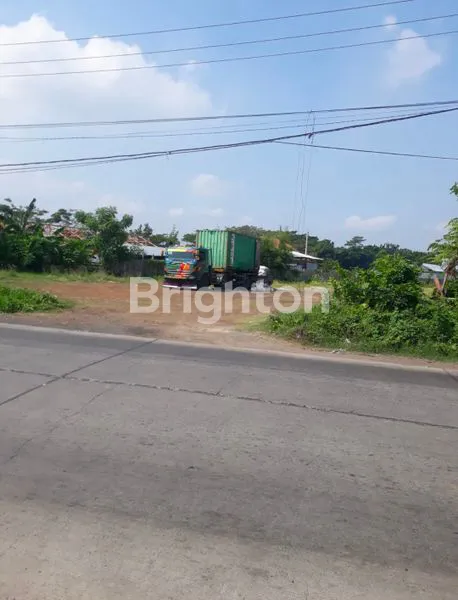 image JUAL LAHAN INDUSTRI MAYANGAN PROBOLINGGO, TERMURAH SUDAH URUK (4)
