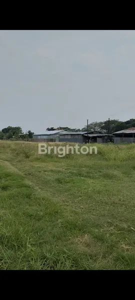 image JUAL LAHAN INDUSTRI MAYANGAN PROBOLINGGO, TERMURAH SUDAH URUK (3)