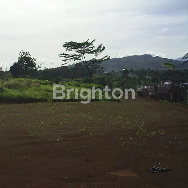 image TANAH KAVLING PINGGIR JALAN RAYA, LOKASI SANGAT STRATEGIS ,JL RAYA JAKARTA BOGOR,JAWA BARAT (2)