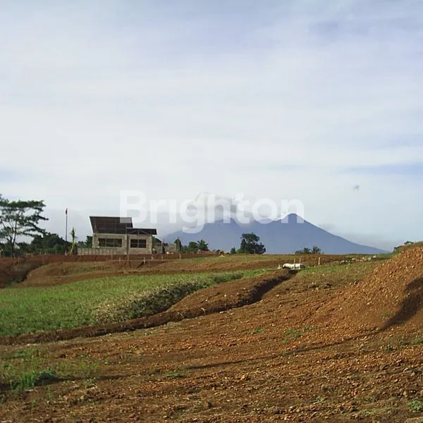 image TANAH KAVLING PINGGIR JALAN RAYA, LOKASI SANGAT STRATEGIS ,JL RAYA JAKARTA BOGOR,JAWA BARAT (3)