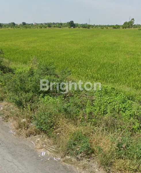 TANAH SIAP BANGUN TAMBAK DESA BANJARMENDALAN LAMONGAN LOKASI STRATEGIS