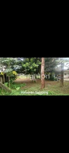 image RUMAH LUAS HITUNG TANAH MURAH (3)