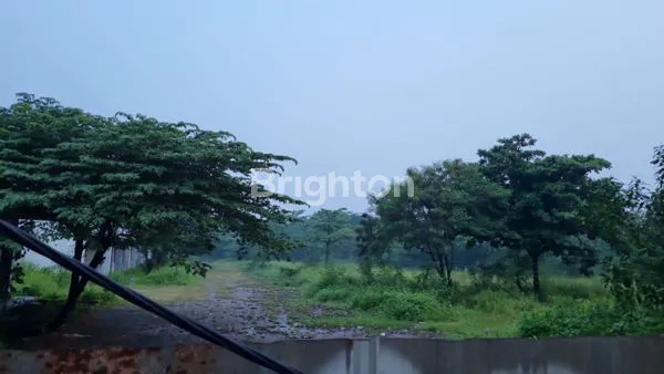 image TANAH DARAT SIAP PAKAI LUAS 15000 METER LOKASI SANGAT STRATEGIS DEPAN JALANNRAYA CIPENDAWA JATI ASIH  (2)