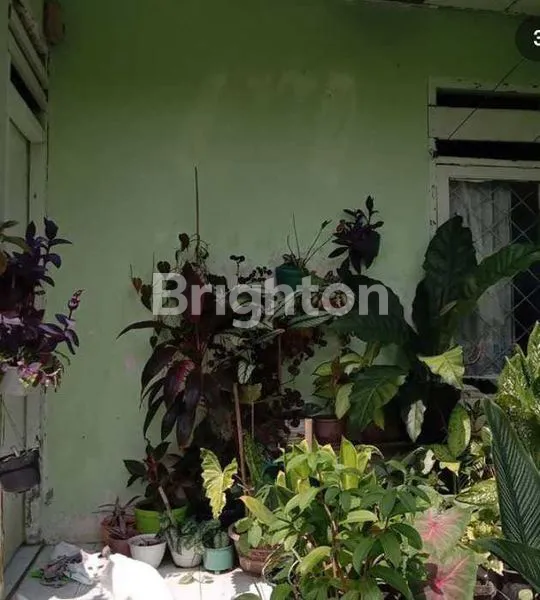 image RUMAH TUA TANGERANG HITUNG TANAH (2)