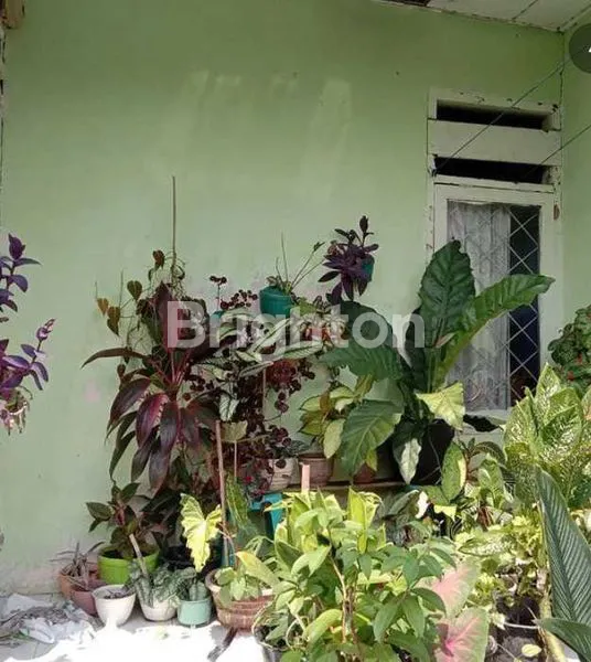 image RUMAH TUA TANGERANG HITUNG TANAH (8)