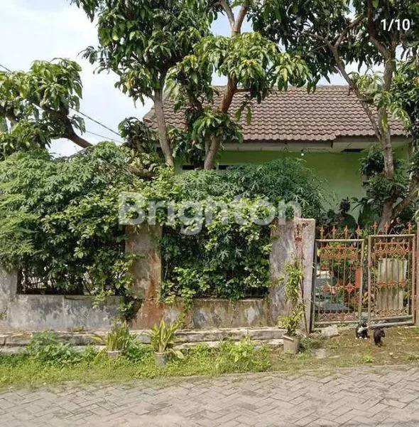 image RUMAH TUA TANGERANG HITUNG TANAH (6)