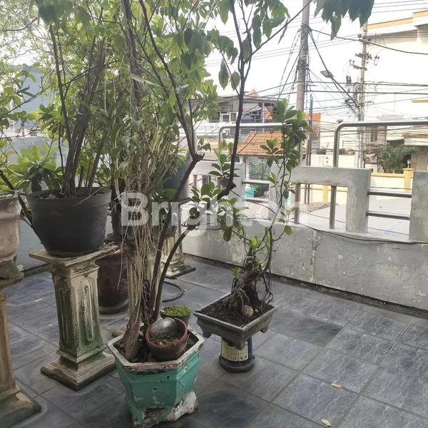 image DIJUAL RUMAH TINGGAL BISA UNTUK USAHA, NOL JALAN PROPINSI SIDOARJO KOTA (5)