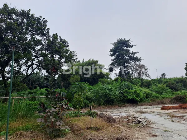 image TANAH DIJUAL LUAS 9000 M² DI CIBUBUR DI PERUMAHAN RAFFLES HILLS (6)