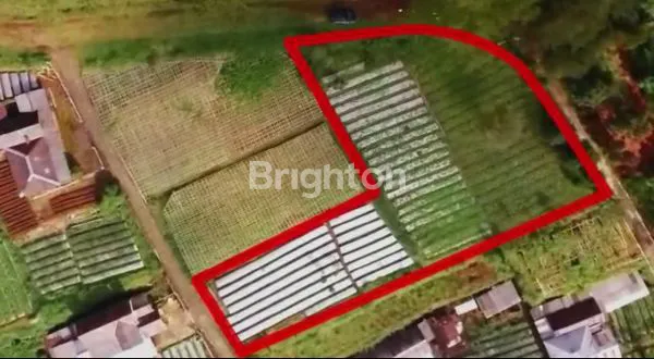 image TANAH DI KEMUNING TAWANGMANGU  (2)