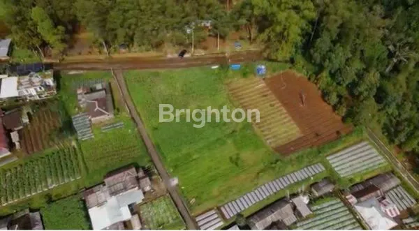 image TANAH DI KEMUNING TAWANGMANGU  (3)