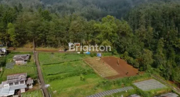 image TANAH DI KEMUNING TAWANGMANGU  (4)