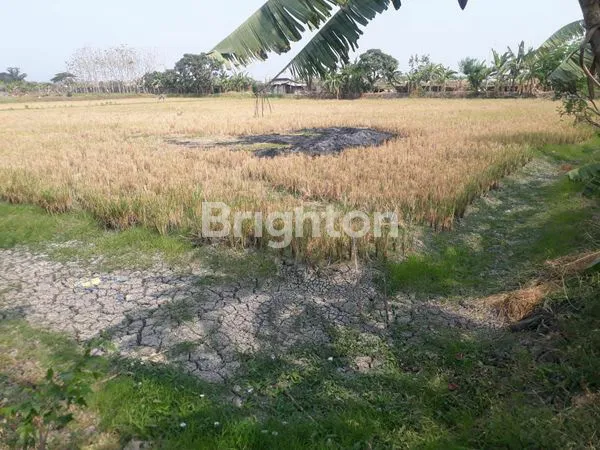 image TANAH KEBOMAS MURAH SAMPING KANTOR BUPATI GRESIK (1)