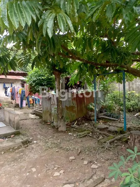 image TANAH DAN RUMAH SUKABANGUN (3)