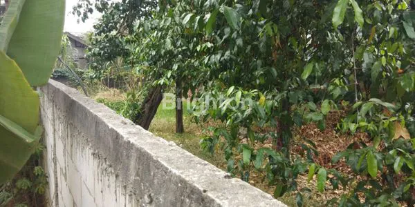 image TANAH KAVLING DI KINCAN JATIBENING - BEKASI (4)