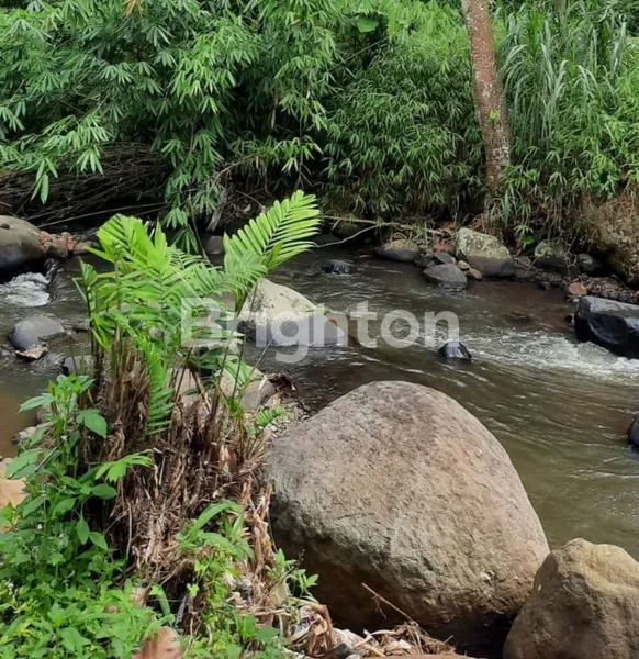 image TANAH PERKEBUNAN WONOSALAM JOMBANG, SELANGKAH KE  MOJOKERTO (2)