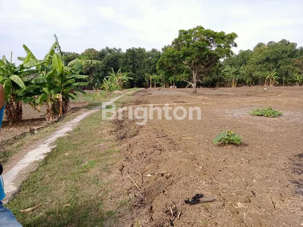 image TANAH PRODUKTIF AKSES MASUK MUDAH (2)