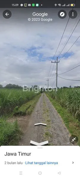 image TANAH SAWAH DI KEDIRI AREA PETERNAKAN  (1)